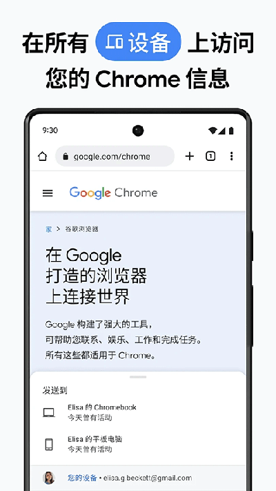 chrome canary(金丝雀)最新版截图4