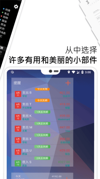 bluecoins官方最新版截图4