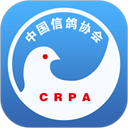 中国信鸽协会app